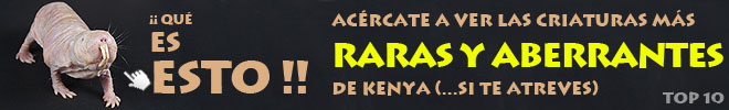 Magazine: Top 10 de las criaturas más raras y aberrantes de Kenya