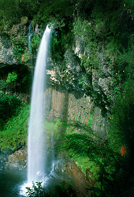 Chania Falls, Aberdare National Park. Javier Yanes/Kenyalogy.com