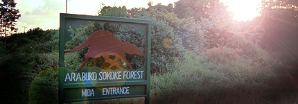 Arabuko Sokoke Forest Mida entrance. Javier Yanes/Kenyalogy.com