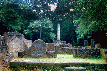 Gede ruins, Arabuko Sokoke Forest. Javier Yanes/Kenyalogy.com