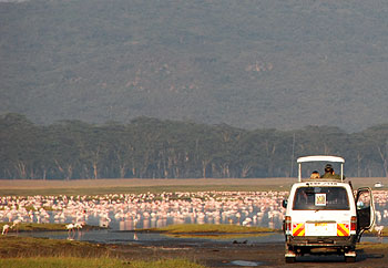 Safari van at Lake Nakuru National Park. Javier Yanes/Kenyalogy.com