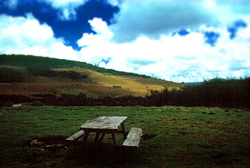 Reedbuck Camp Site, Aberdare National Park. Javier Yanes/Kenyalogy.com