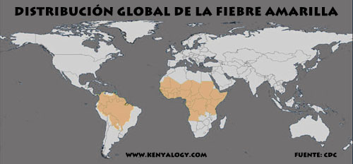 Distribución global de la fiebre amarilla. Mapa por Javier Yanes/Kenyalogy.com. Fuente: CDC